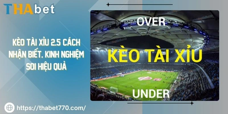 Kèo tài xỉu 2.5: Cách nhận biết, kinh nghiệm soi hiệu quả